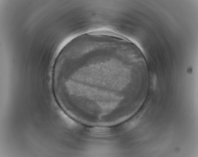 X0000091351151200709071233