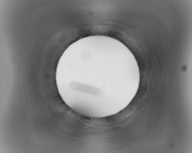 X0000091351153200709071233