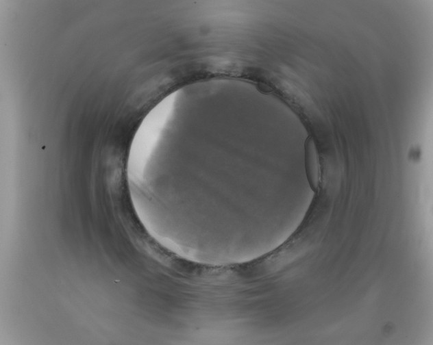 X0000091351154200709071233