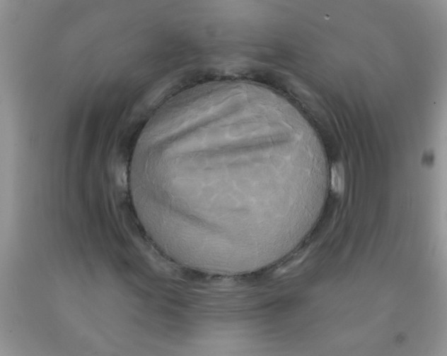 X0000091351155200709071233