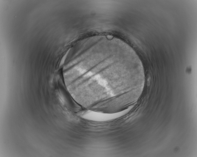 X0000091351156200709071233