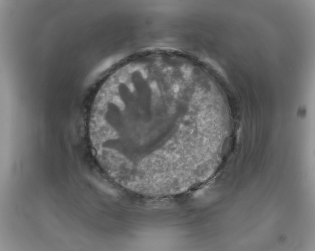 X0000091351159200709071233