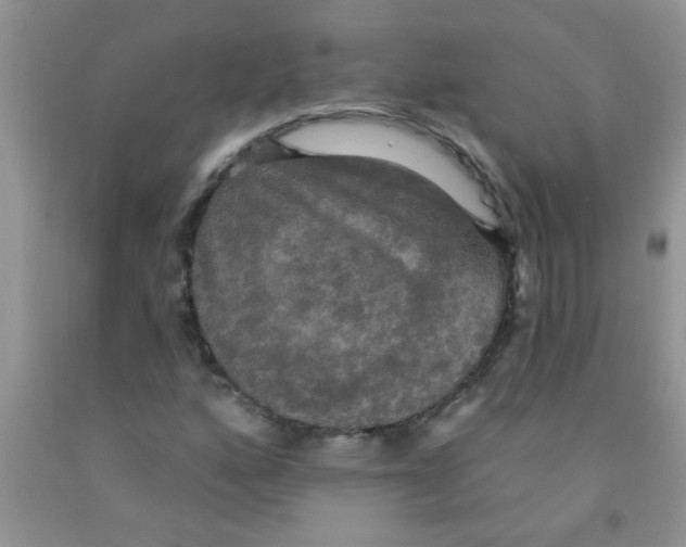 X0000091351160200709071233