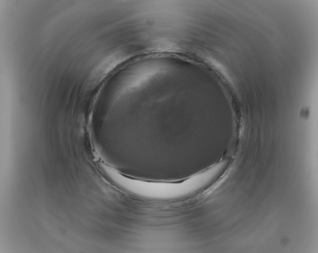 X0000091351161200709071233