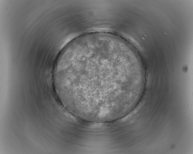 X0000091351162200709071233