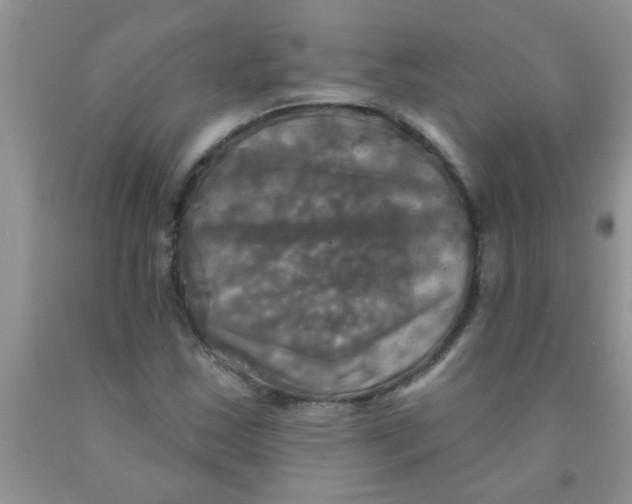X0000091351163200709071233