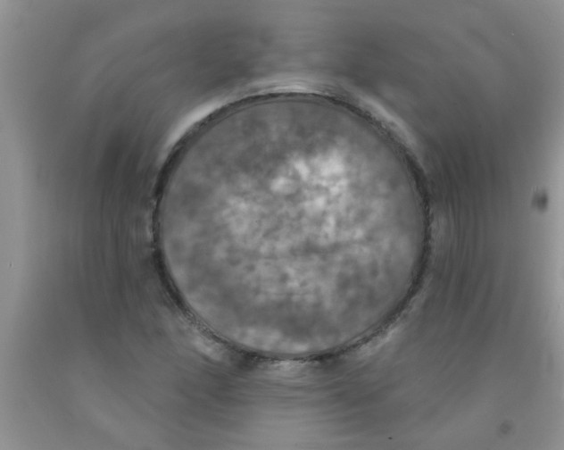 X0000091351166200709071233