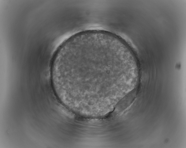 X0000091351167200709071233