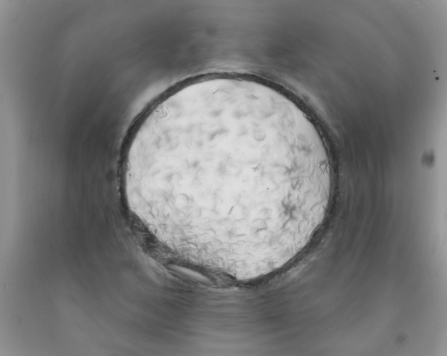X0000091351168200709071233