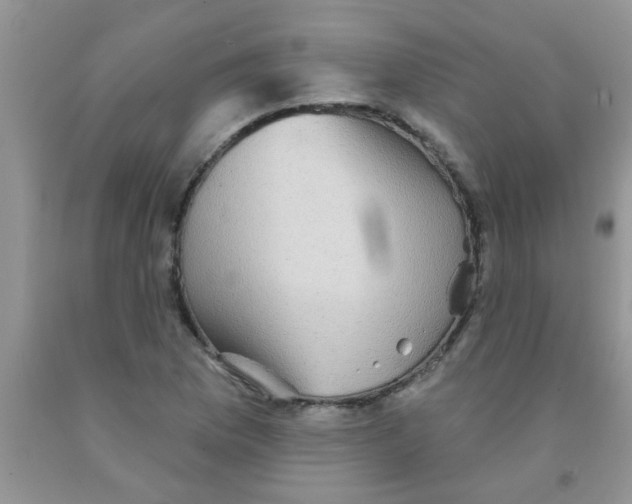 X0000091351169200709071233