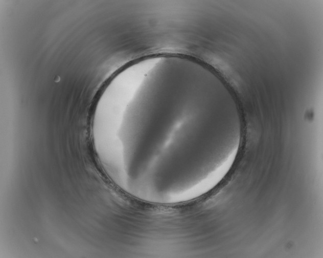 X0000091351170200709071233