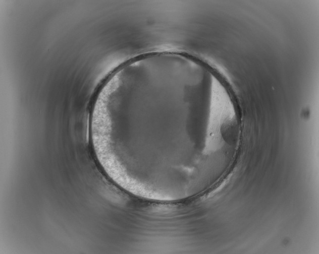X0000091351171200709071233