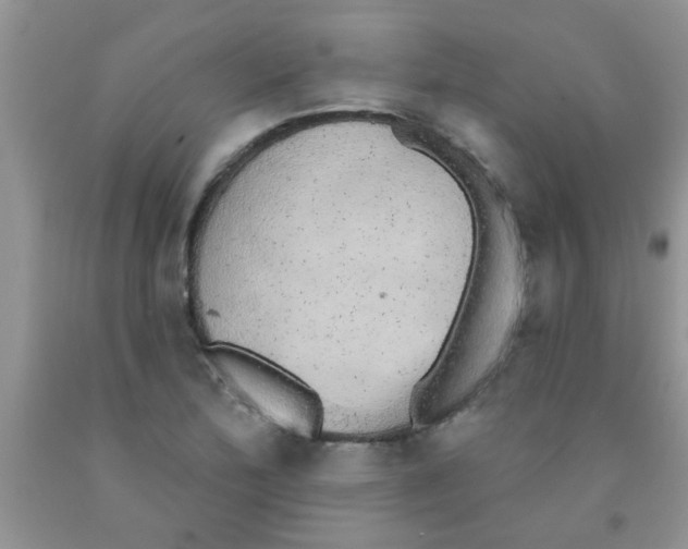 X0000091351172200709071233
