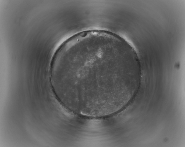X0000091351173200709071233