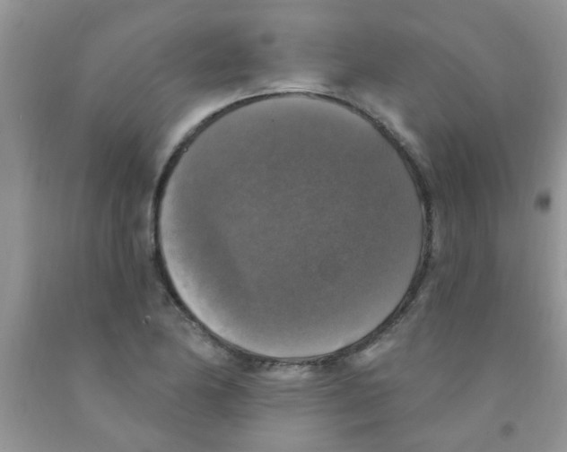 X0000091351174200709071233