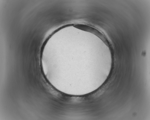 X0000091351176200709071233