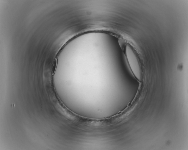 X0000091351177200709071232