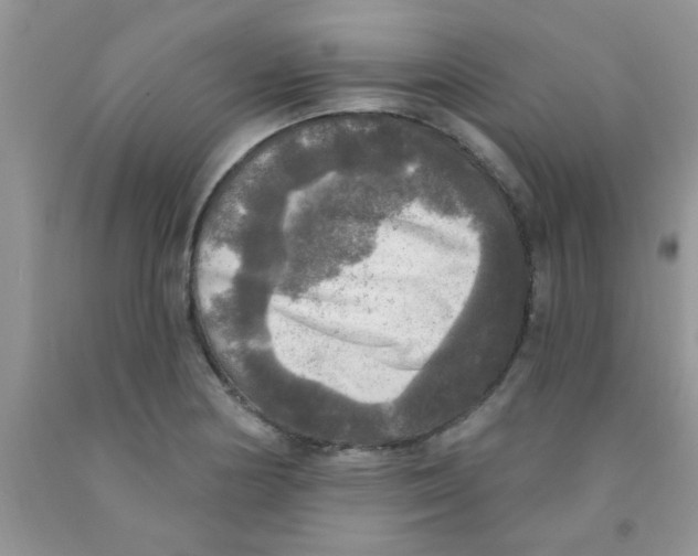X0000091351178200709071232