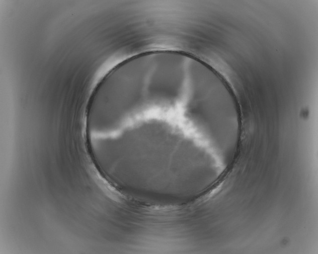 X0000091351179200709071232