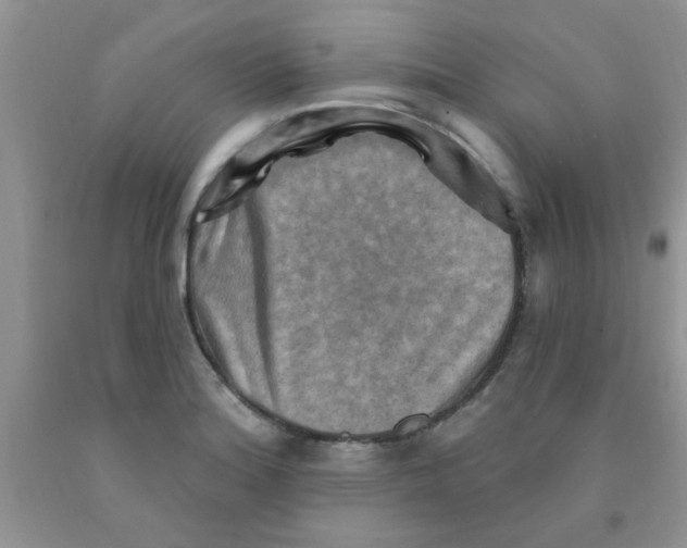 X0000091351180200709071232