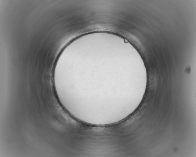 X0000091351182200709071232