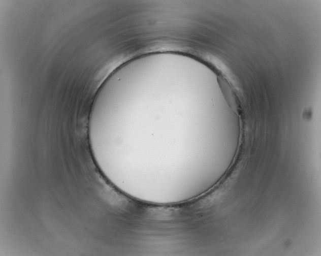 X0000091351185200709071232