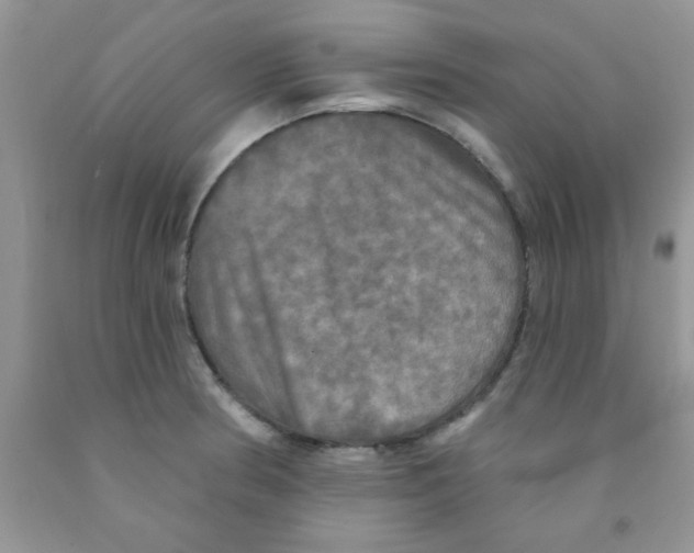 X0000091351186200709071232