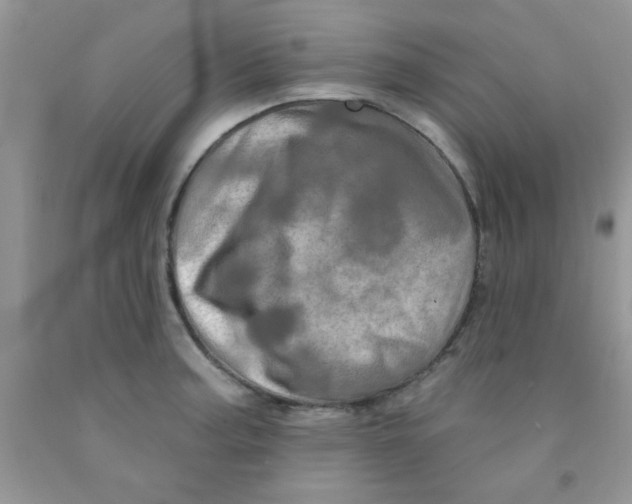 X0000091351187200709071232