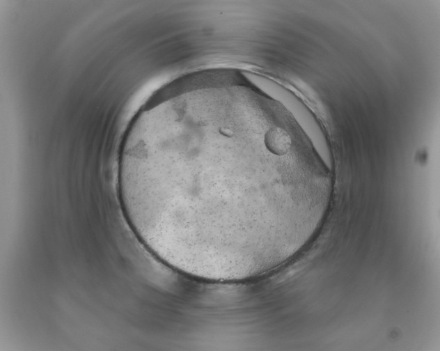X0000091351188200709071232