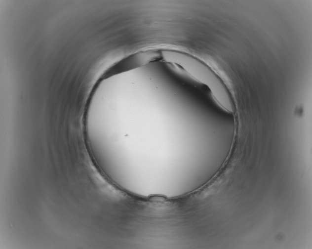 X0000091351189200709071232