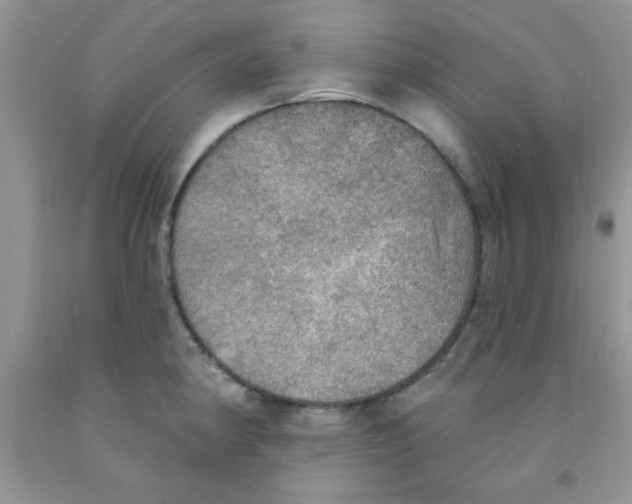 X0000091351190200709071232