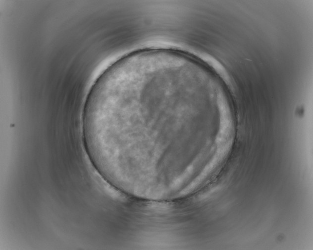 X0000091351191200709071232