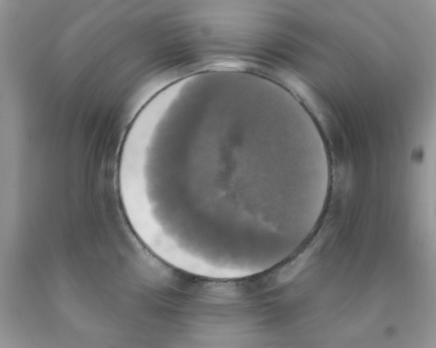 X0000091351194200709071232
