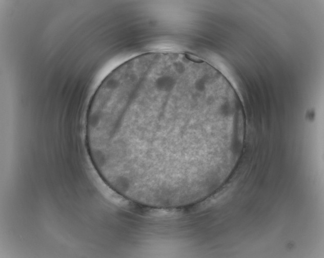 X0000091351195200709071232