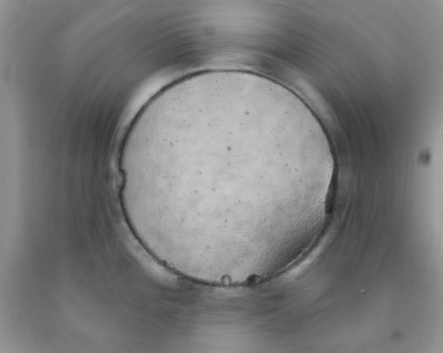 X0000091351196200709071232