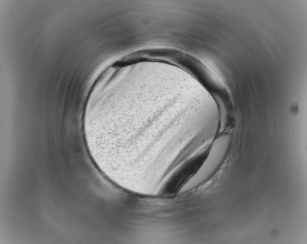 X0000091351197200709071232