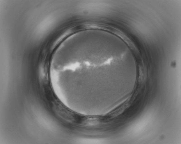 X0000091351198200709071232