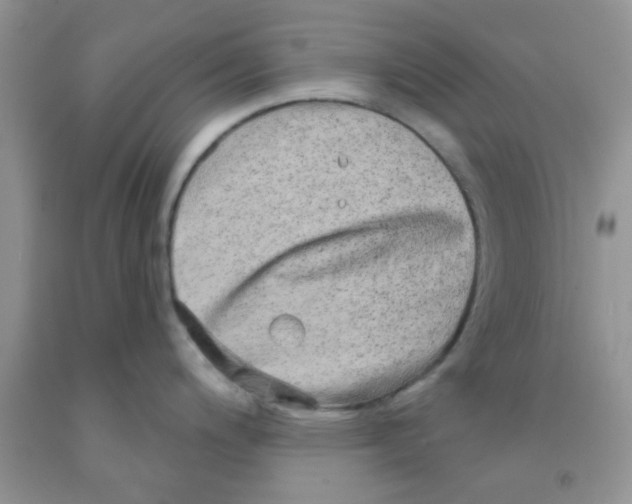 X0000091351200200709071232