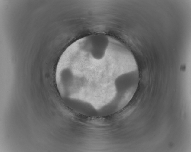 X0000091351201200709071232