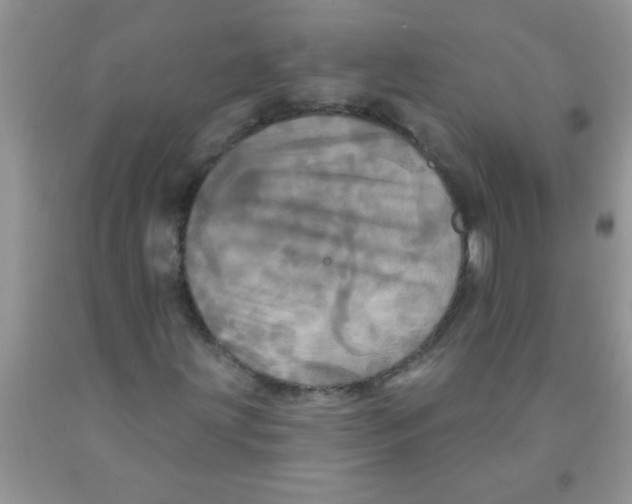 X0000091351203200709071232
