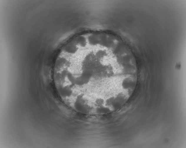 X0000091351205200709071232