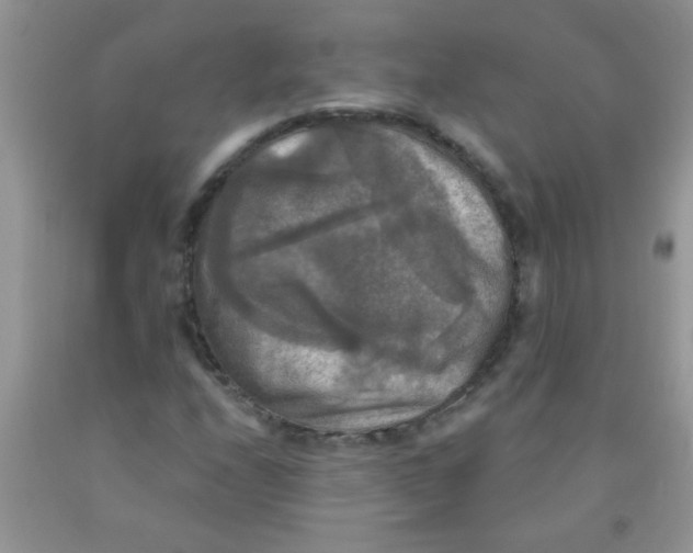 X0000091351208200709071232
