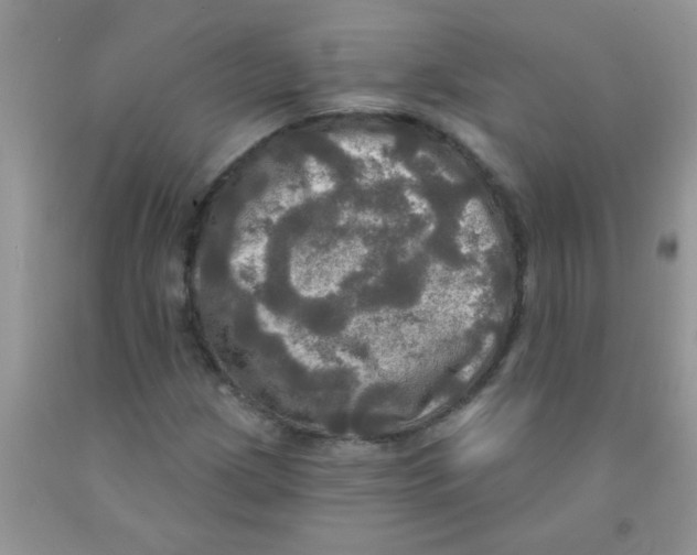 X0000091351209200709071232