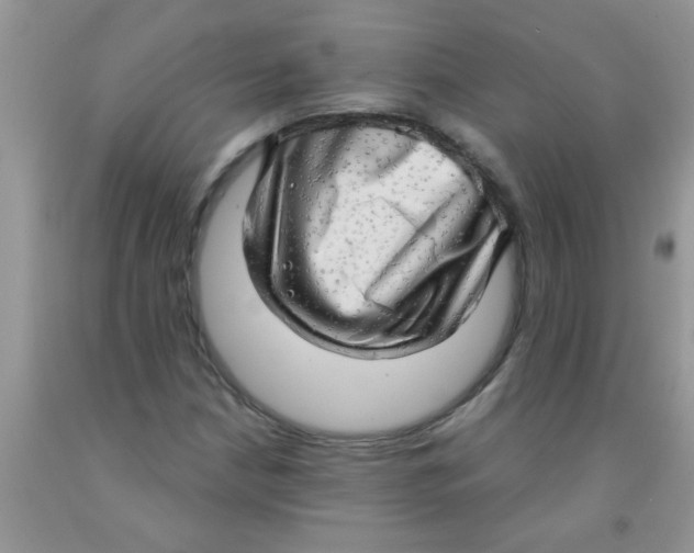 X0000091351210200709071232