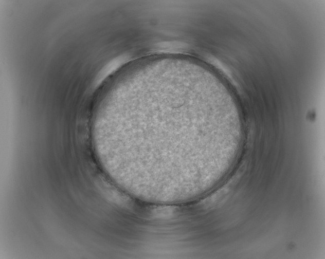 X0000091351211200709071232