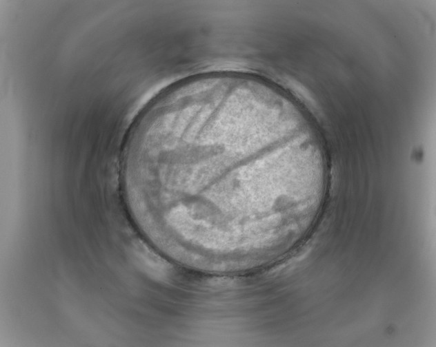 X0000091351212200709071232