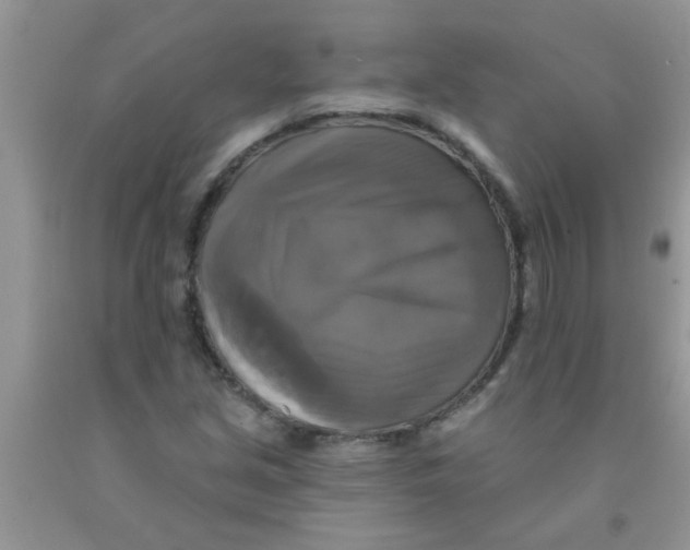 X0000091351213200709071232