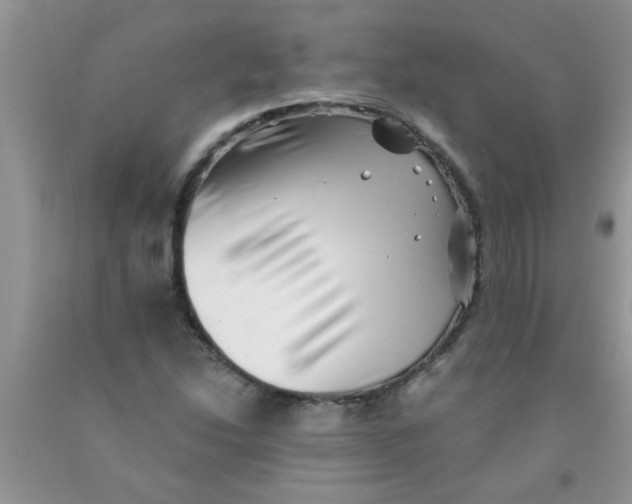 X0000091351214200709071232