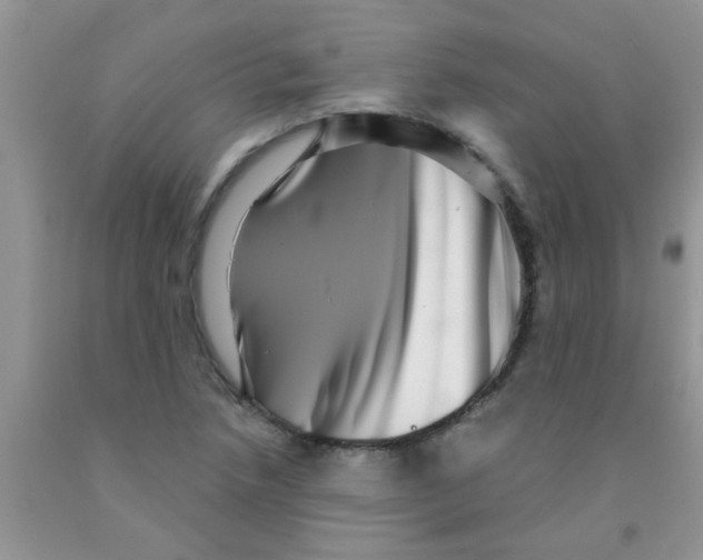 X0000091351218200709071232