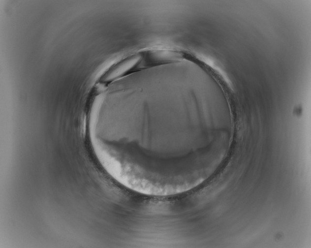 X0000091351221200709071232